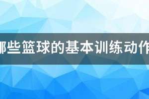 篮球训练动作要领有哪些内容